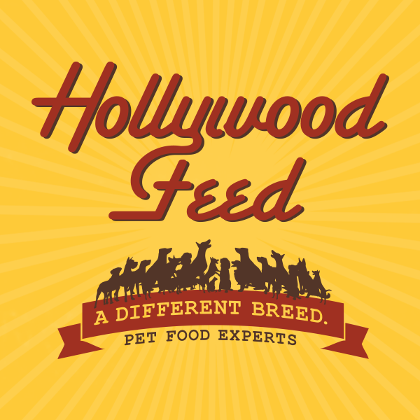 Hollywood Feed II